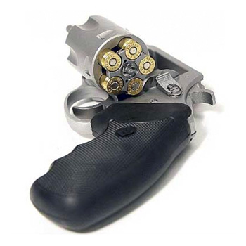 Charter Arms Pit Bull (open cylinder)