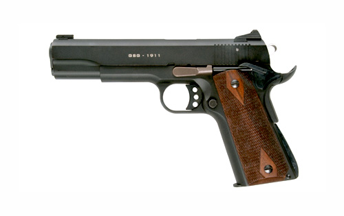 ATI GSG 1911 photo