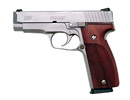 Kahr T9