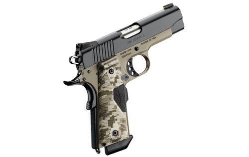 Kimber Pro Covert II photo