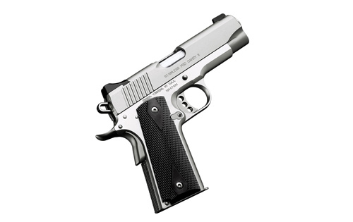 Kimber Stainless Pro Carry II photo