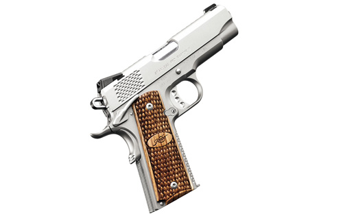 Kimber Stainless Pro Raptor II photo