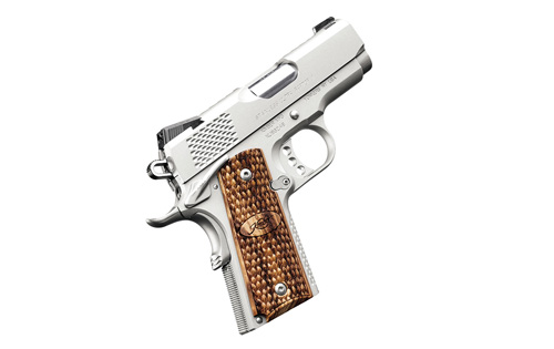 Kimber Stainless Ultra Raptor II photo