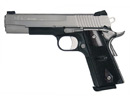 SIG Sauer 1911 Stainless