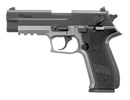 SIG Sauer Mosquito Reverse Two-Tone