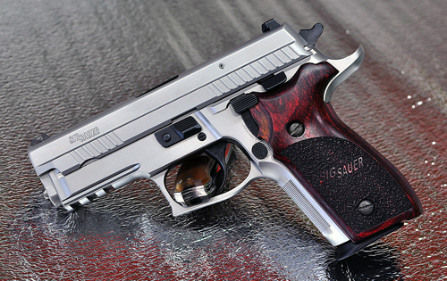 SIG Sauer P229 Elite Stainless photo (5 of 5)