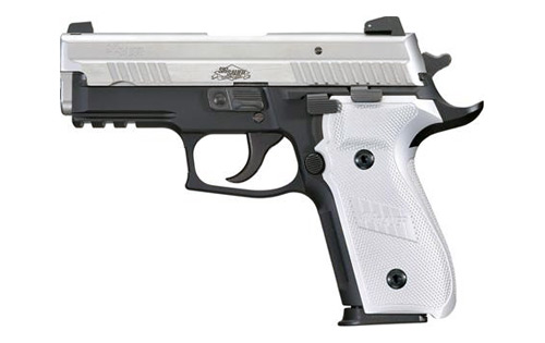 SIG Sauer P229 Platinum Elite photo