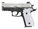 SIG Sauer P229 Platinum Elite