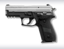 SIG Sauer P229 Two-Tone