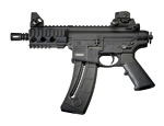 Smith & Wesson M&P15-22P Pistol